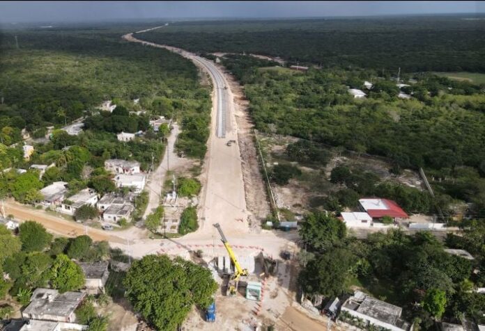 juez-ordena-frenar-tala-y-el-desmonte-de-terrenos-tren-maya-el-tecolote-diario