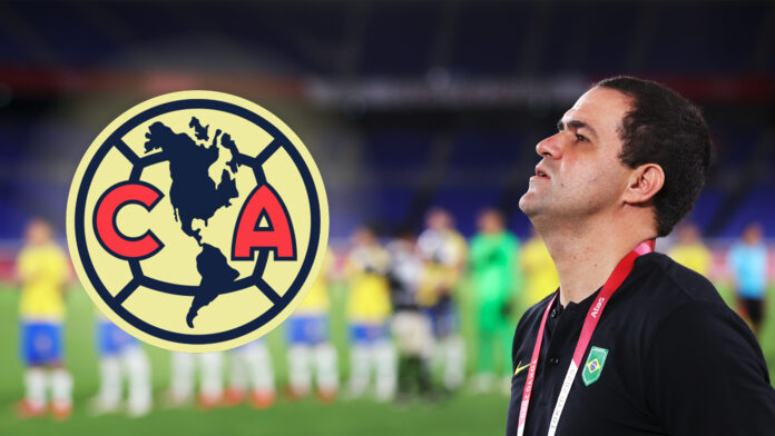 América Ya Tiene Nuevo Entrenador El Tecolote Diario