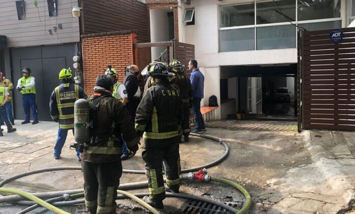 mueren-6-perritos-por-incendio-en-la-napoles-el-tecolote-diario