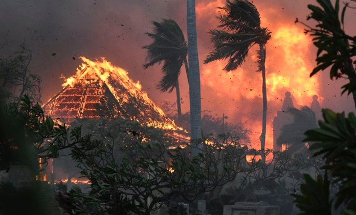 incendios-en-hawai-el-tecolote-diario