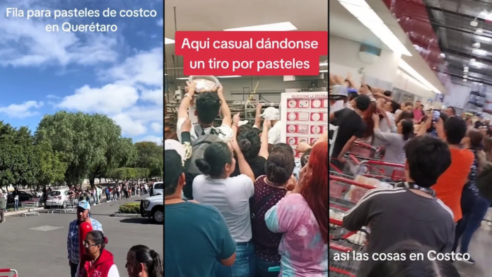 la-guerra-de-los-pasteles-en-costco-el-tecolote-diario