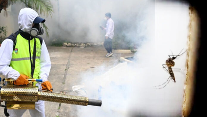 Dengue pone en estado de emergencia a Guatemala El Tecolote Diario