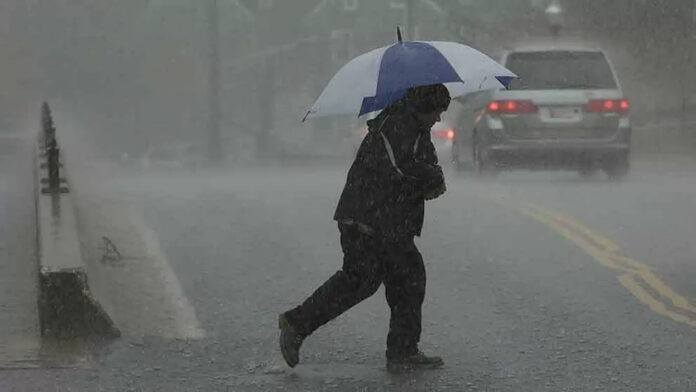 Frente frio impacta México El Tecolote Diario