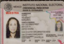 Encuentran credenciales de elector hechizas a candidata independiente por la CDMX