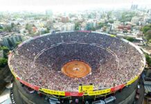 Jueza ordena la suspensión inmediata de las corridas de toros