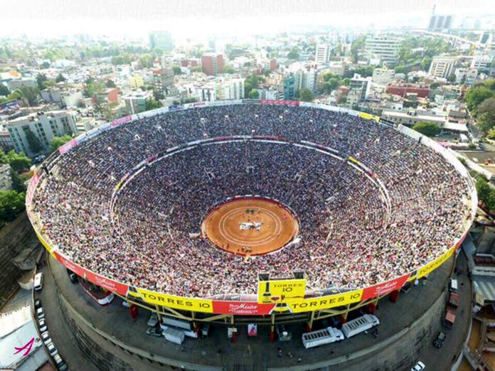 Jueza ordena la suspensión inmediata de las corridas de toros