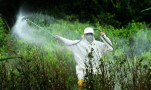 Frenan la prohibición del glisofato El Tecolote Diario