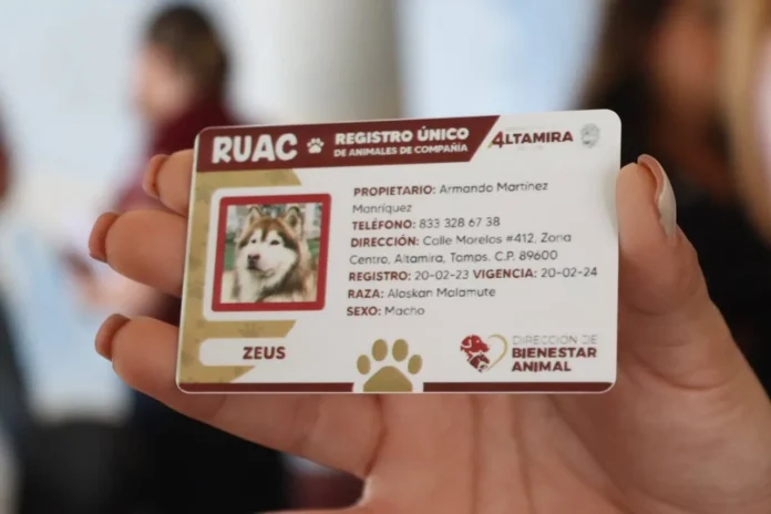 Multa de miles de pesos por no sacarle el RUAC a tus mascotas El Tecolote Diario