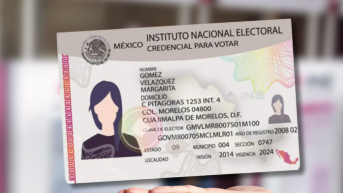 Elecciones 2024 El Tecolote Diario