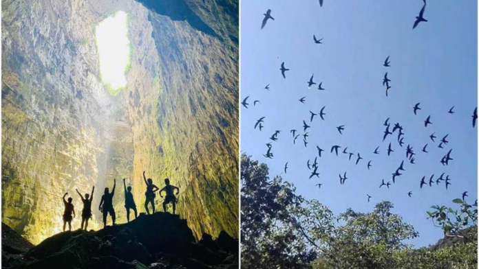 Huasteca potosina El Tecolote Diario