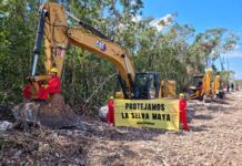 Suspenden obras del Tren Maya El Tecolote Diario