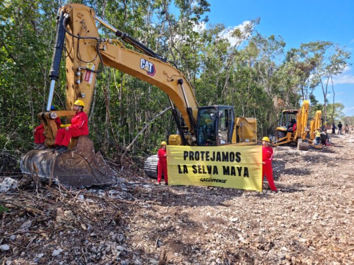 Suspenden obras del Tren Maya El Tecolote Diario