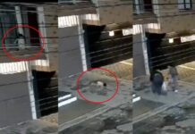Bebé cae por ventana en Puebla El Tecolote Diario