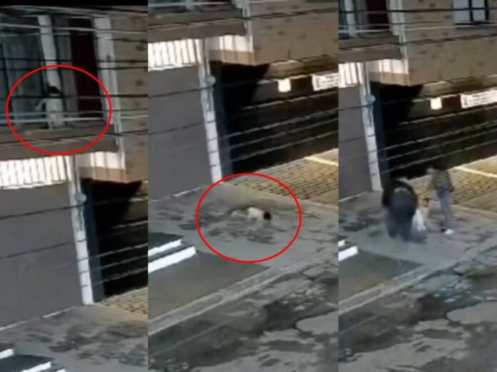 Bebé cae por ventana en Puebla El Tecolote Diario
