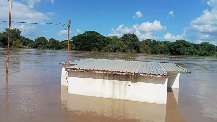 https://eltecolote.mx/2025/10/autoridades-de-tampico-realizan-desalojos-preventivos-por-aumento-del-nivel-del-rio-panuco-el-tecolote-diario/