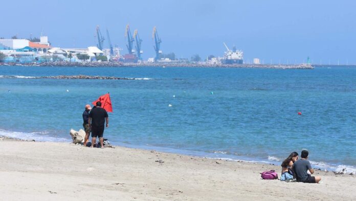 https://eltecolote.mx/2026/03/playas-de-veracruz-siguen-siendo-seguras-para-el-turismo-pese-al-derrame-de-petroleo-segun-cofepris-el-tecolote-diario/